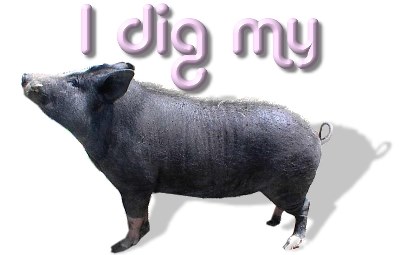 ../Images/dig my pig.jpg